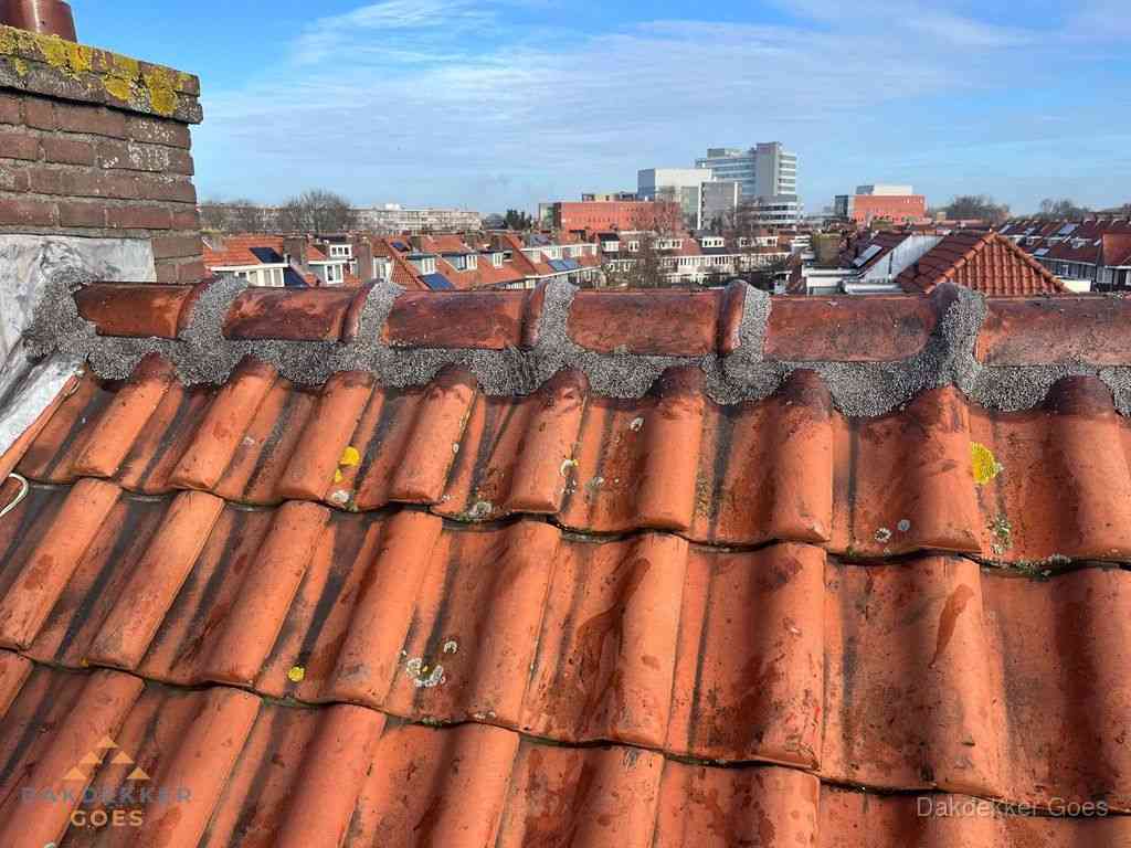 Nieuw bitumen plat dak met uitzicht over woonwijk in Goes