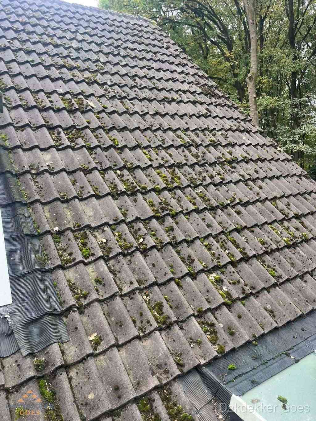 Verweerd pannendak met mosgroei dat renovatie nodig heeft in Goes