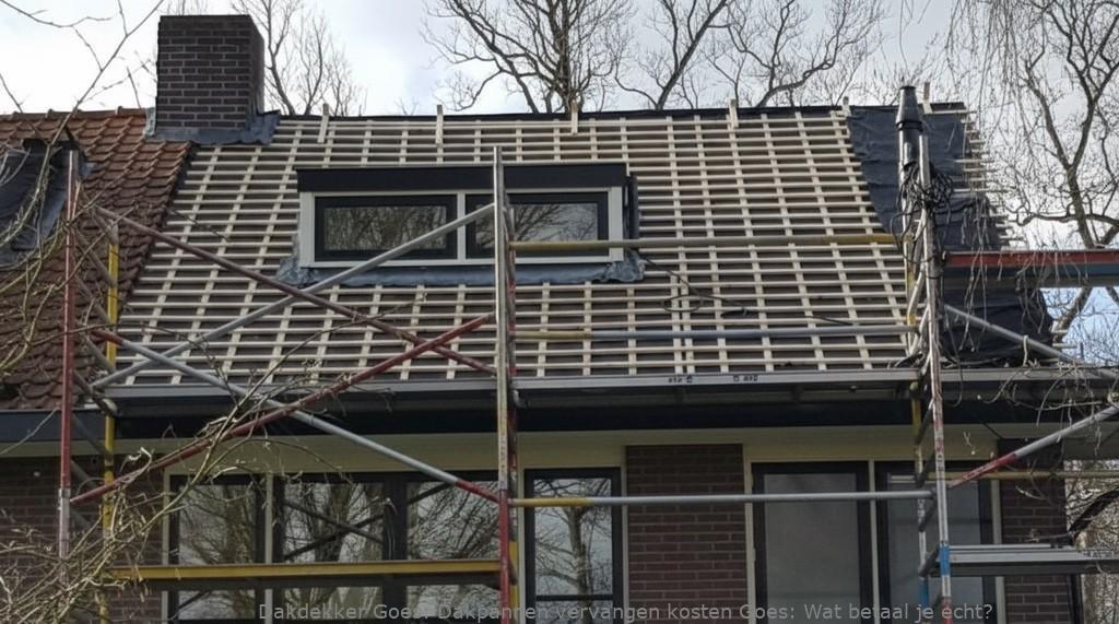 Dakpannen Vervangen Kosten Goes