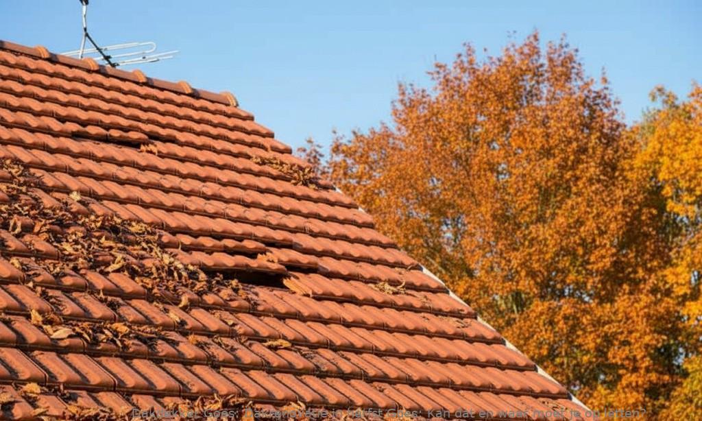 Dakrenovatie In Herfst Goes
